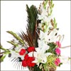 Full of Love - Click here to View more details about this Product